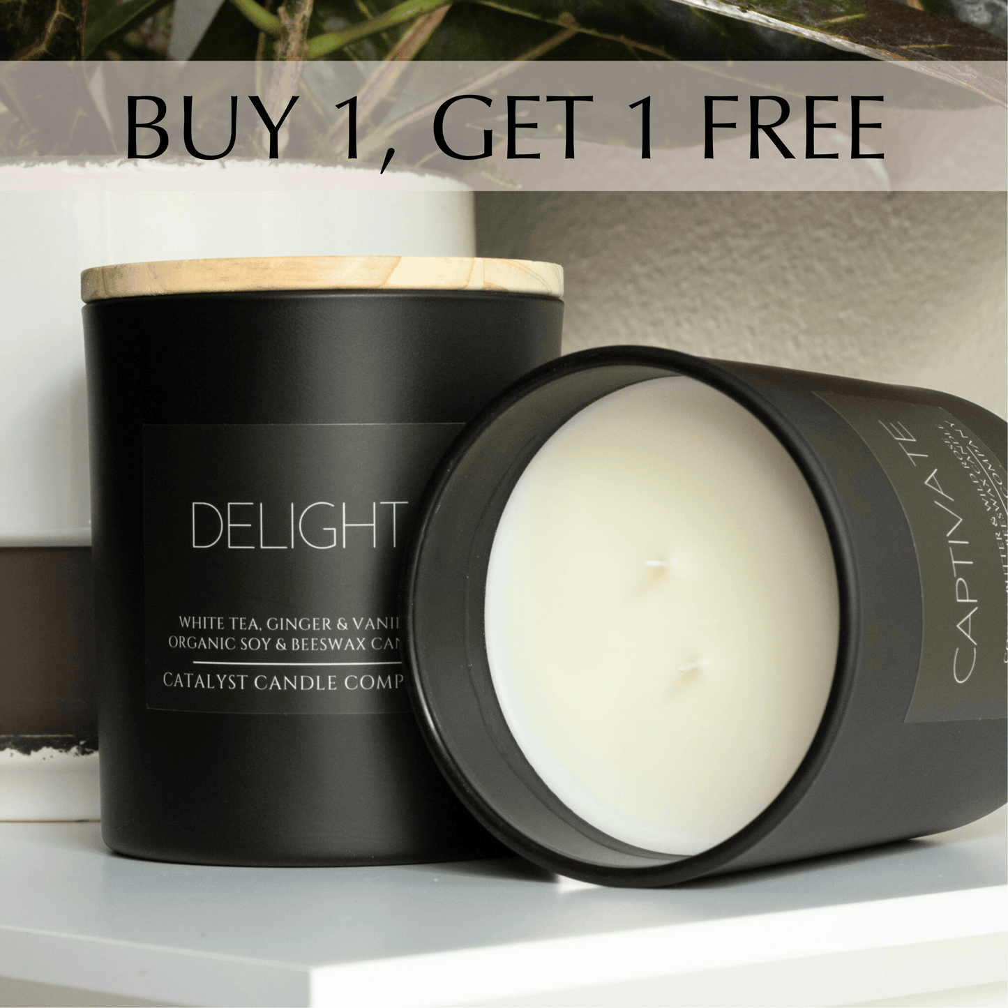 (Discontinued) Signature Collection | 11oz Two-Wick | Organic Soy & Beeswax Candle | BUY 1, GET 1 FREE