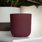 Painted Glass Refill Vessel | Matte Burgundy (Will Not Be Restocked)